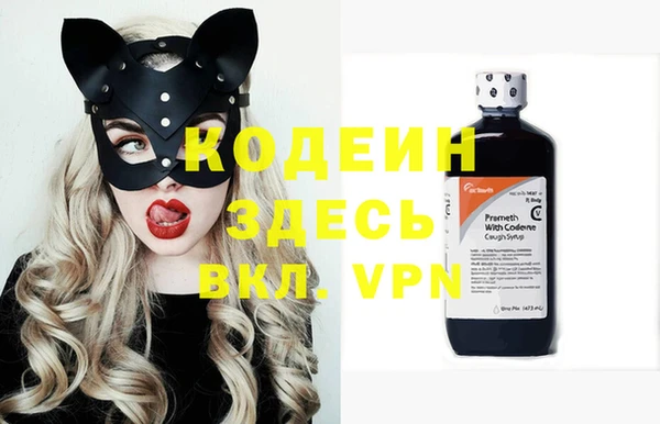 индика Богданович