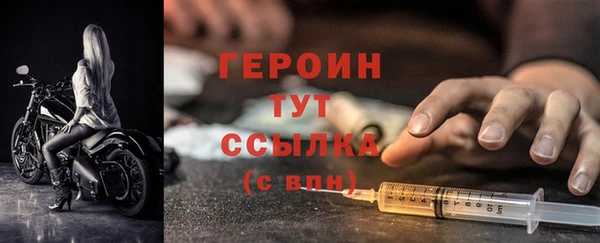 индика Богданович