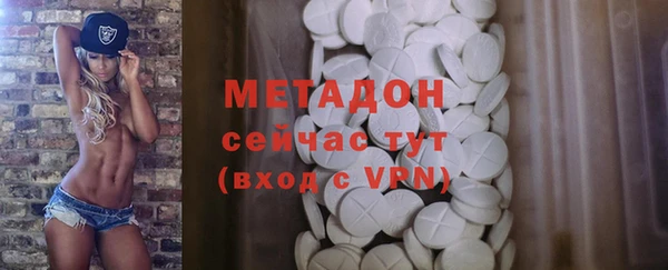 индика Богданович