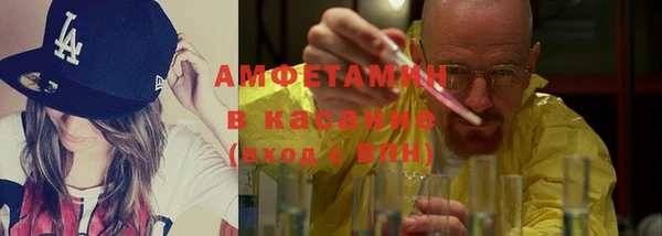 индика Богданович