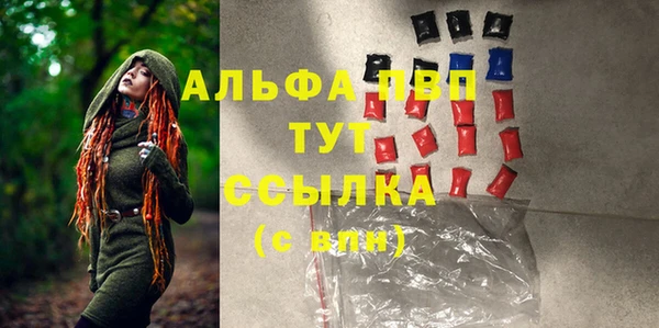 индика Богданович