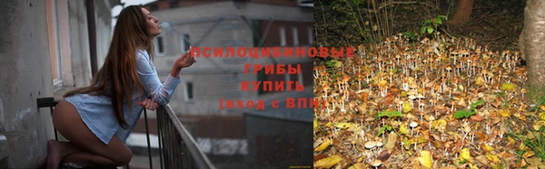 дистиллят марихуана Богородицк