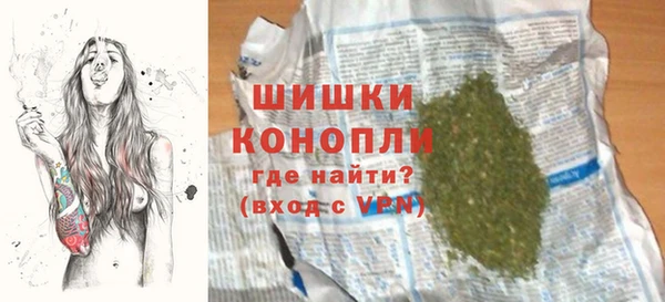 индика Богданович