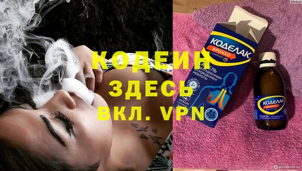индика Богданович