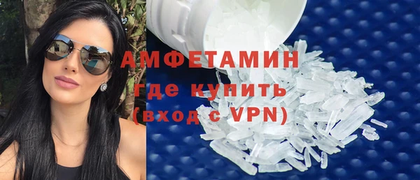 индика Богданович