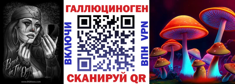 Псилоцибиновые грибы мицелий  Горняк 